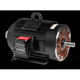 Yaskawa MTRSY001 syMAX Series AC Motor – High Torque, Efficient, and Reliable